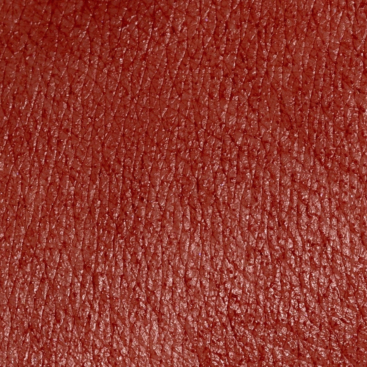 BLUSH STAR SYSTEM BLOOMERANG