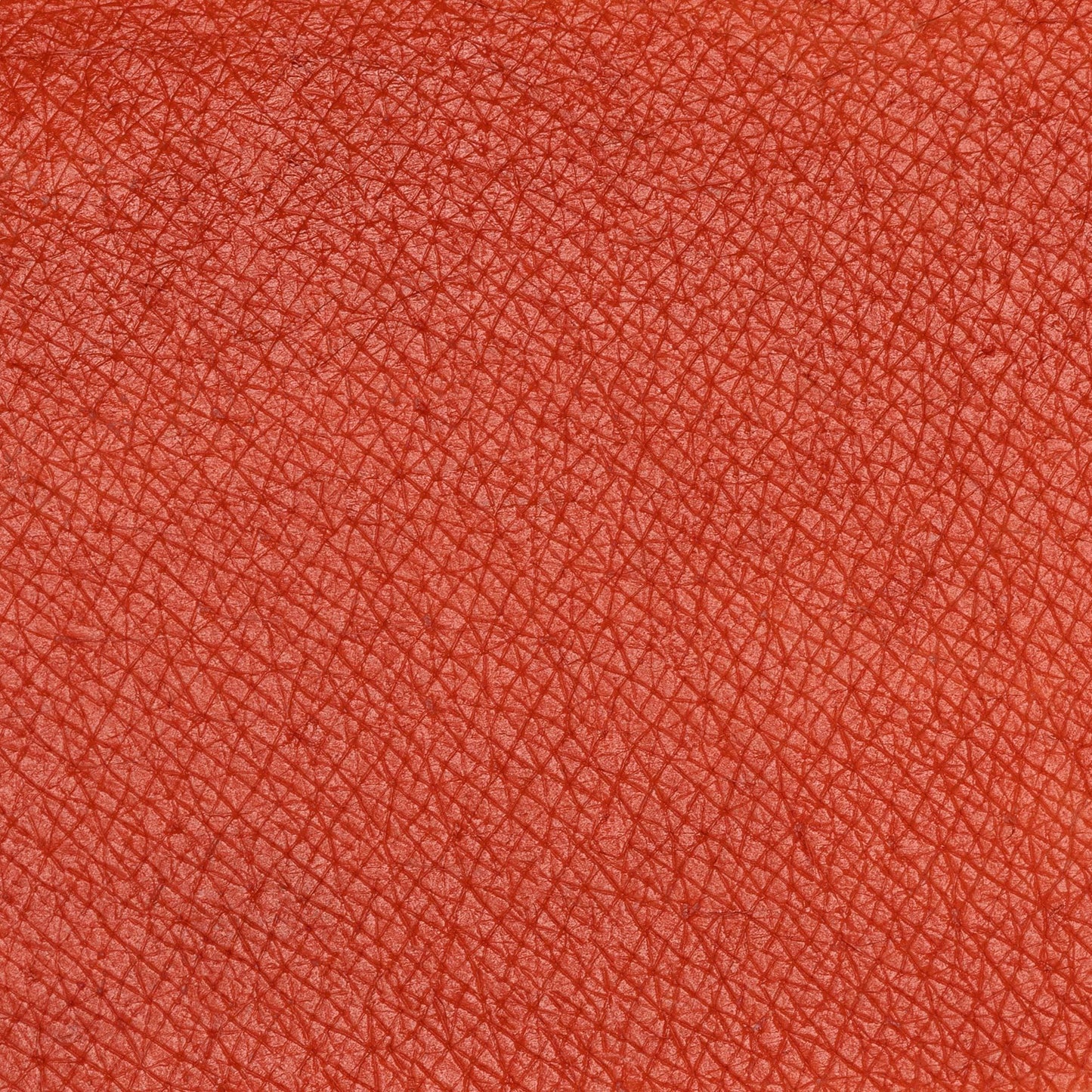 PASTELLO LABBRA FOCUS