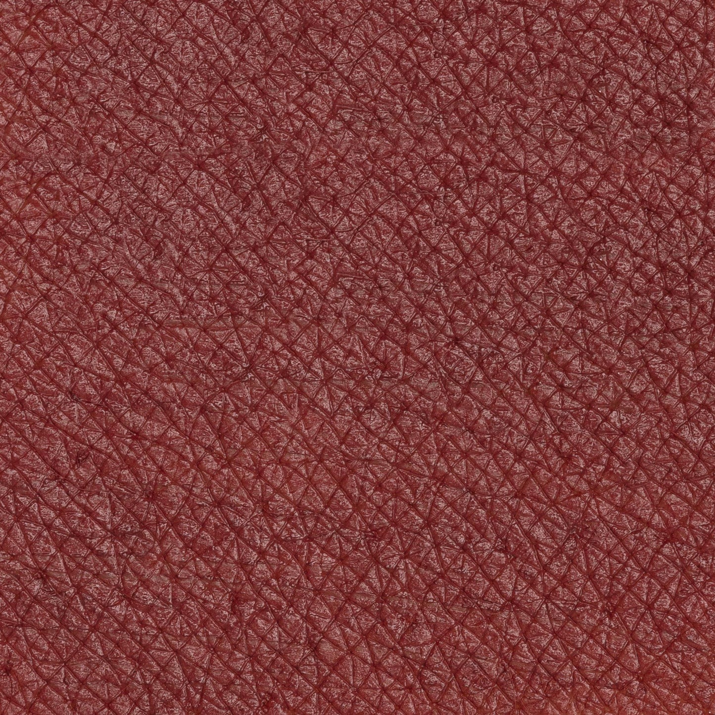 PASTELLO LABBRA IMMORTAL