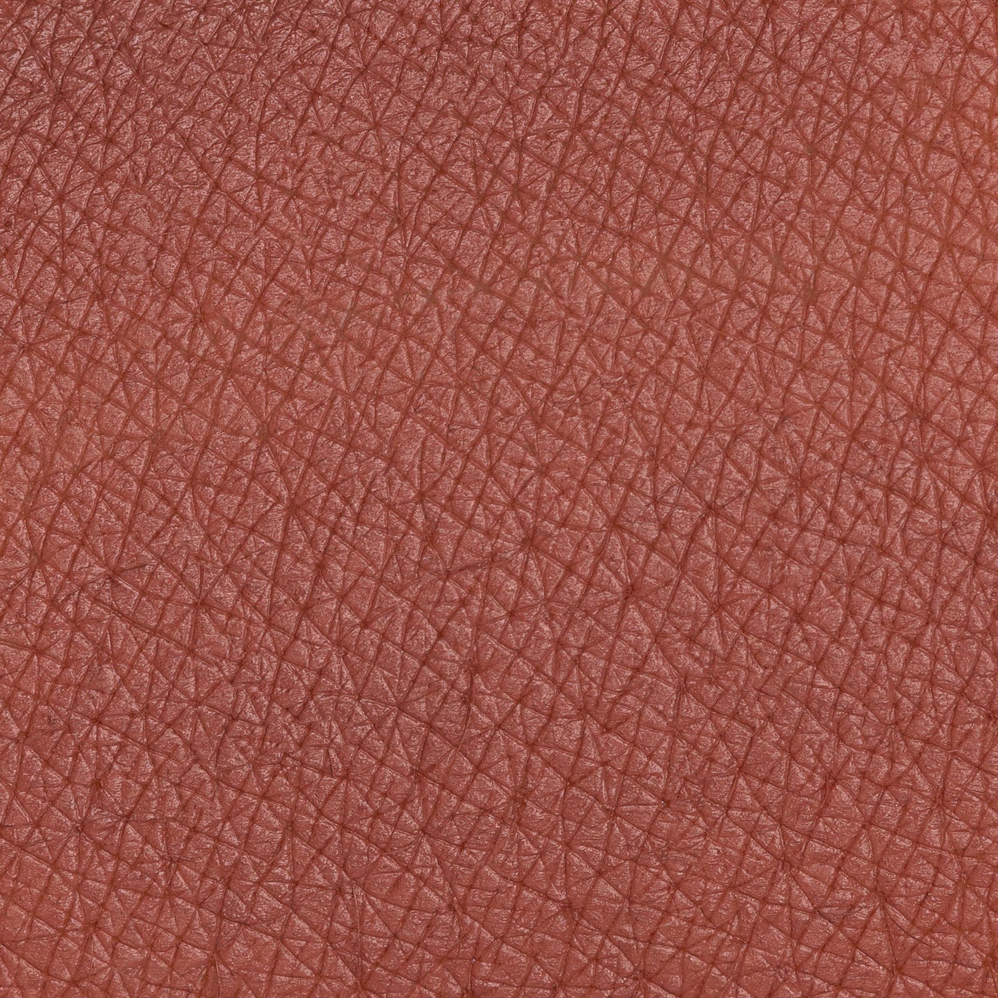 PASTELLO LABBRA MARMOTTA