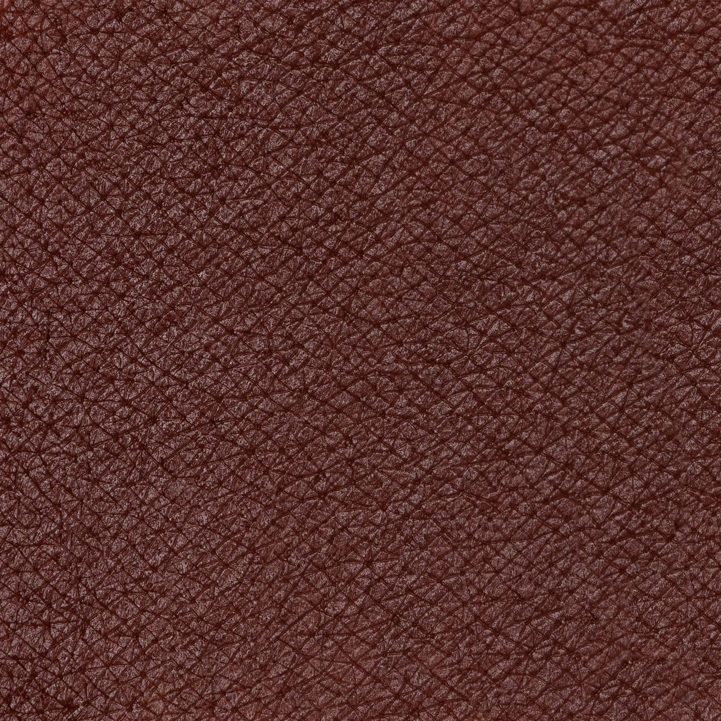 PASTELLO LABBRA NOT TODAY