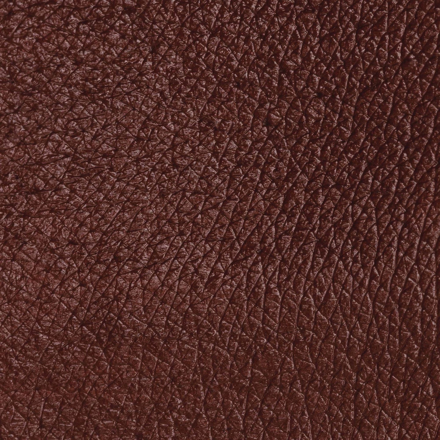 PASTELLO OCCHI AMYGDALA