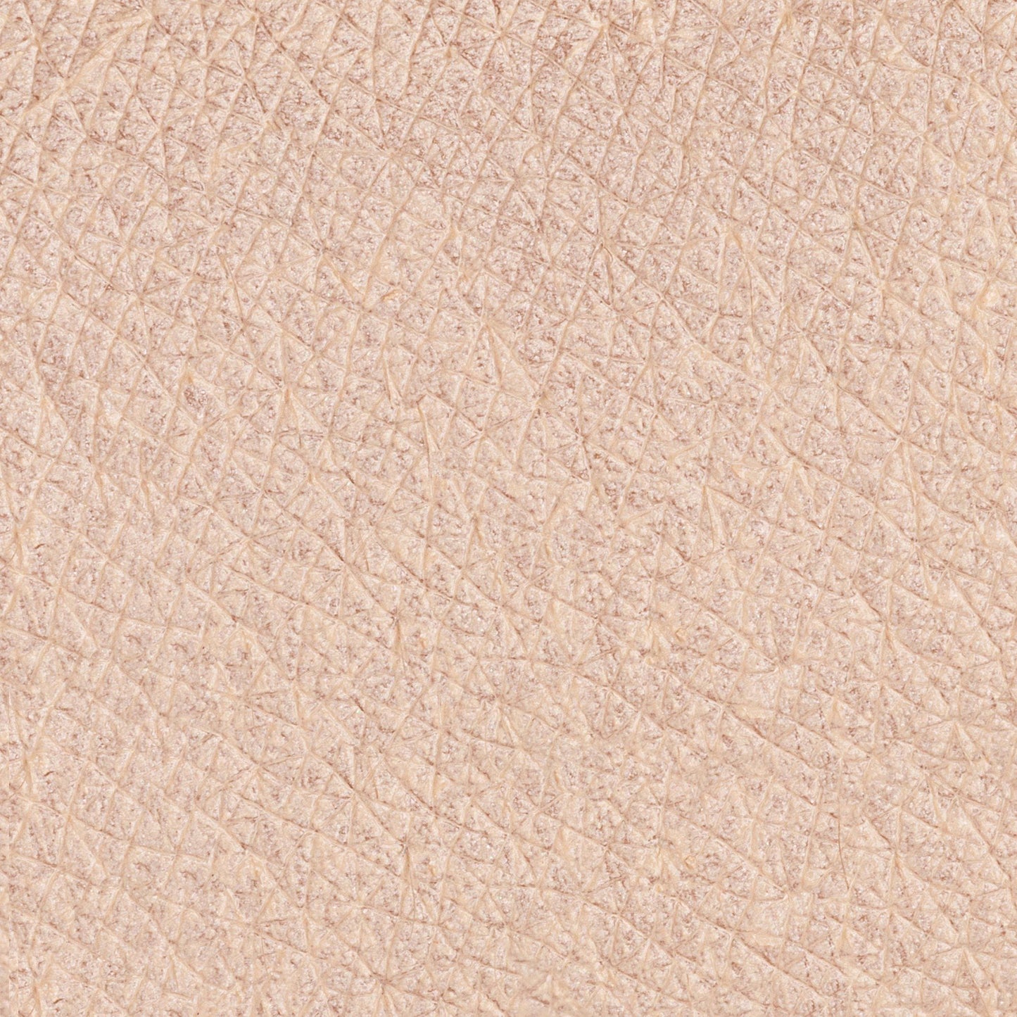 PASTELLO OCCHI AVORIO