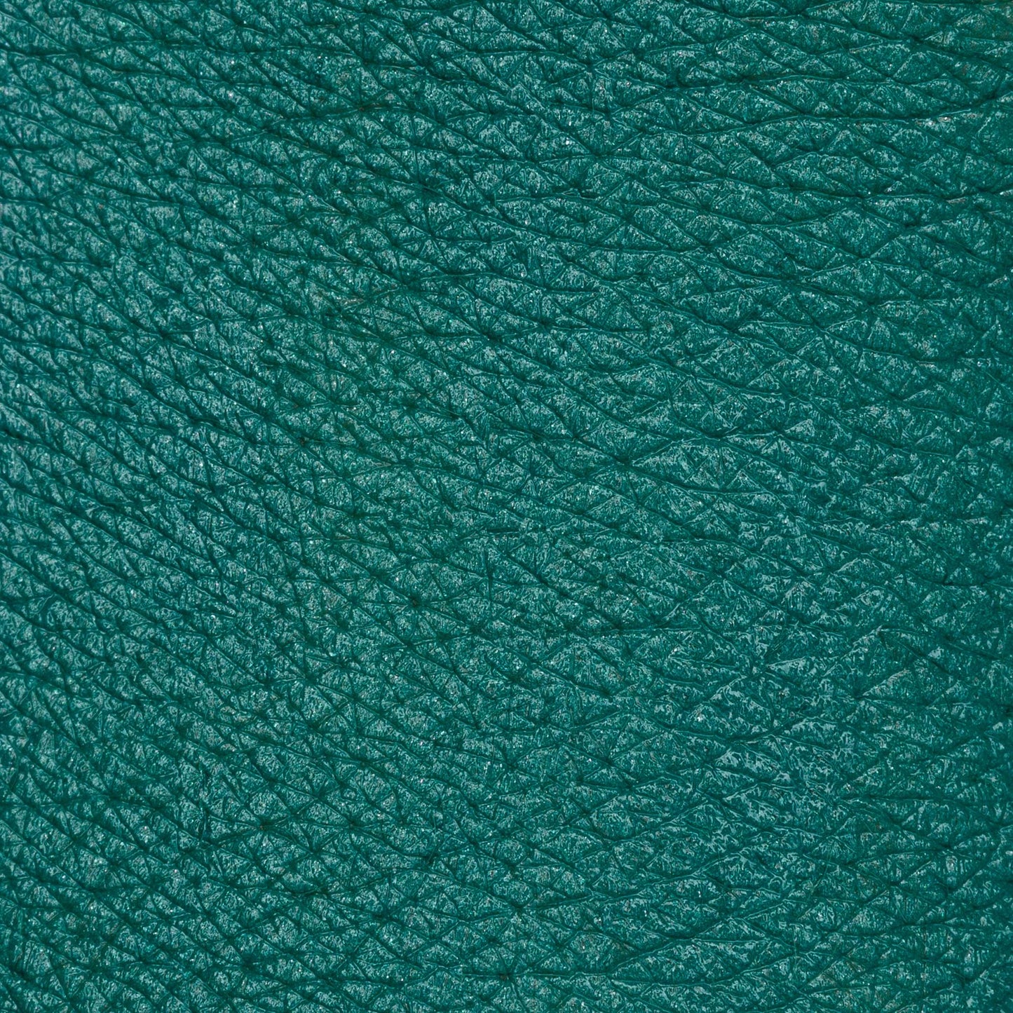 PASTELLO OCCHI BOSCO