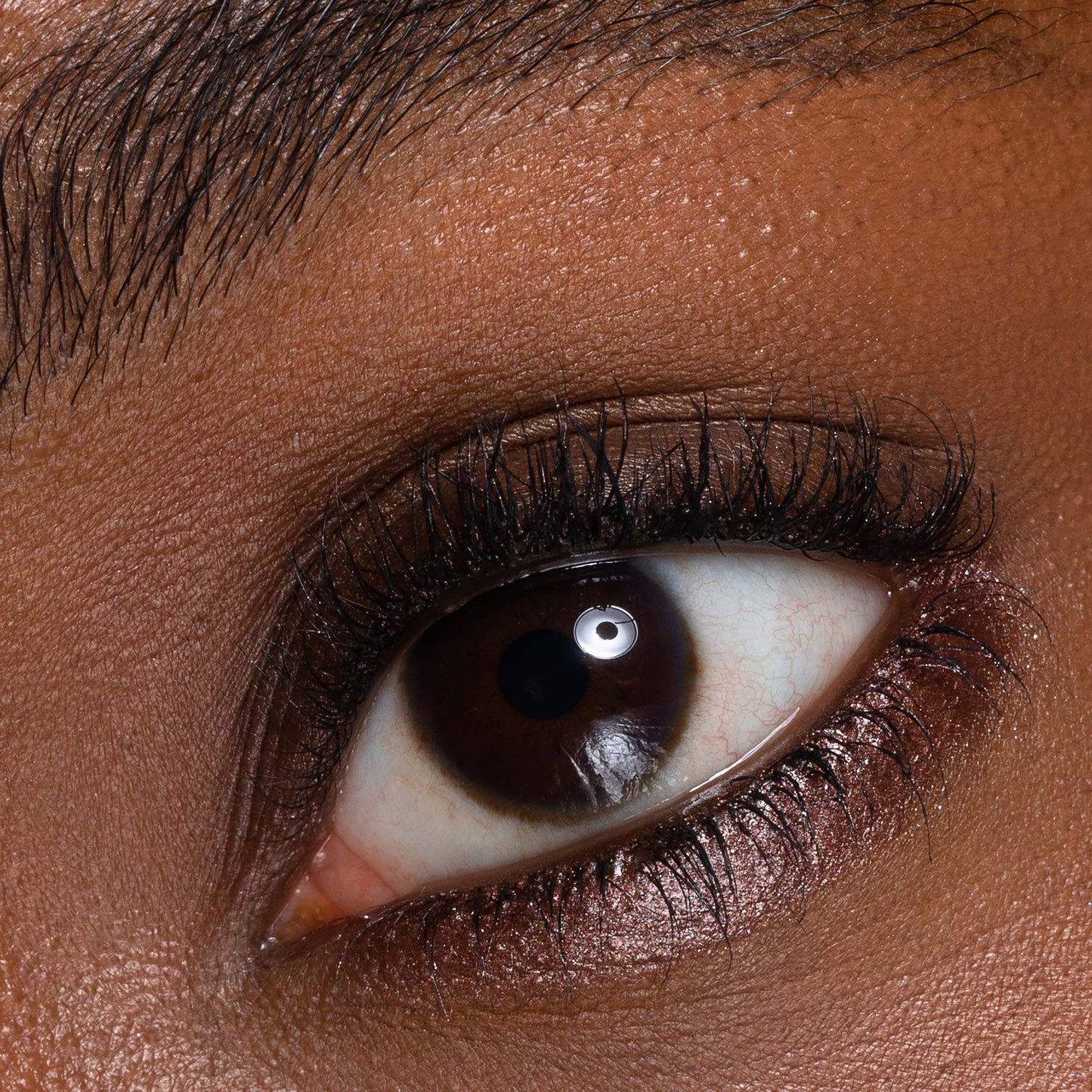 PASTELLO OCCHI CINCILLA’