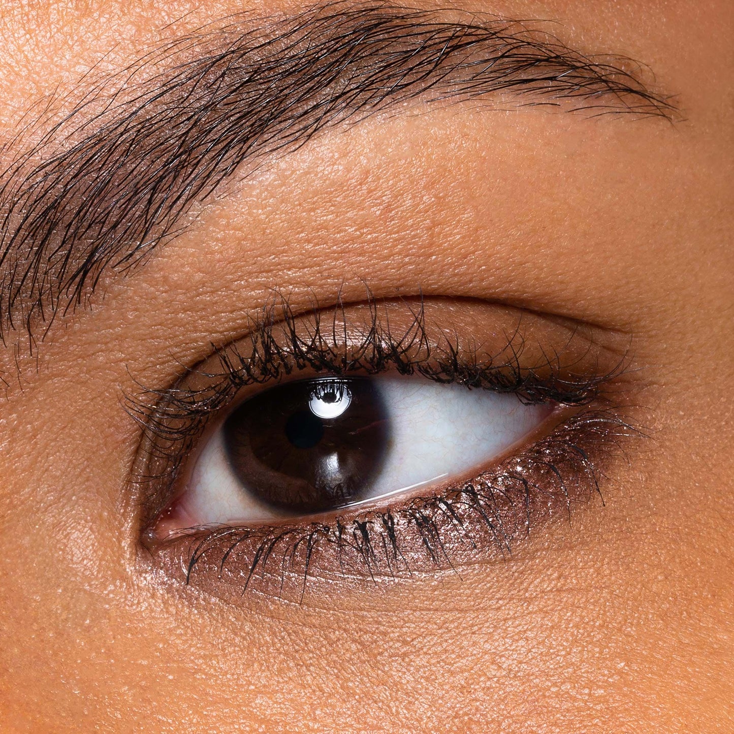 PASTELLO OCCHI CINCILLA’