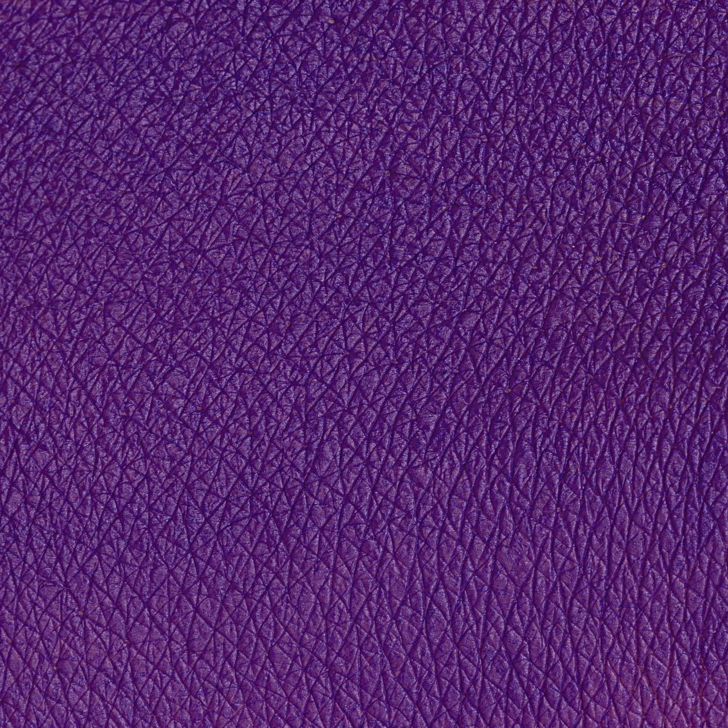 PASTELLO OCCHI JACARANDA