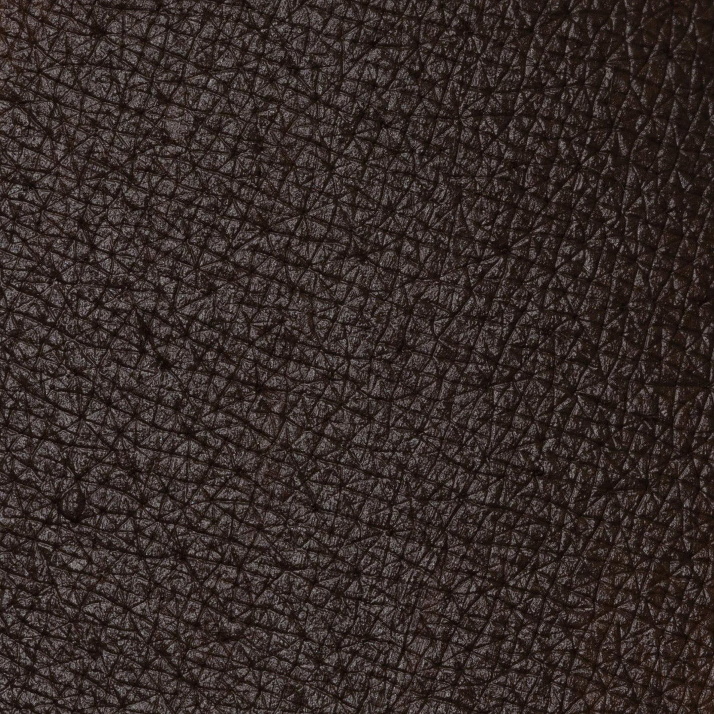 PASTELLO OCCHI LIBRARY