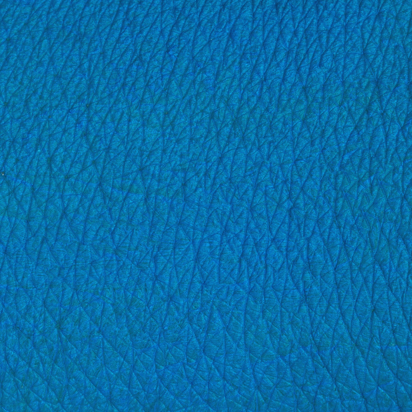 PASTELLO OCCHI NARWHAL