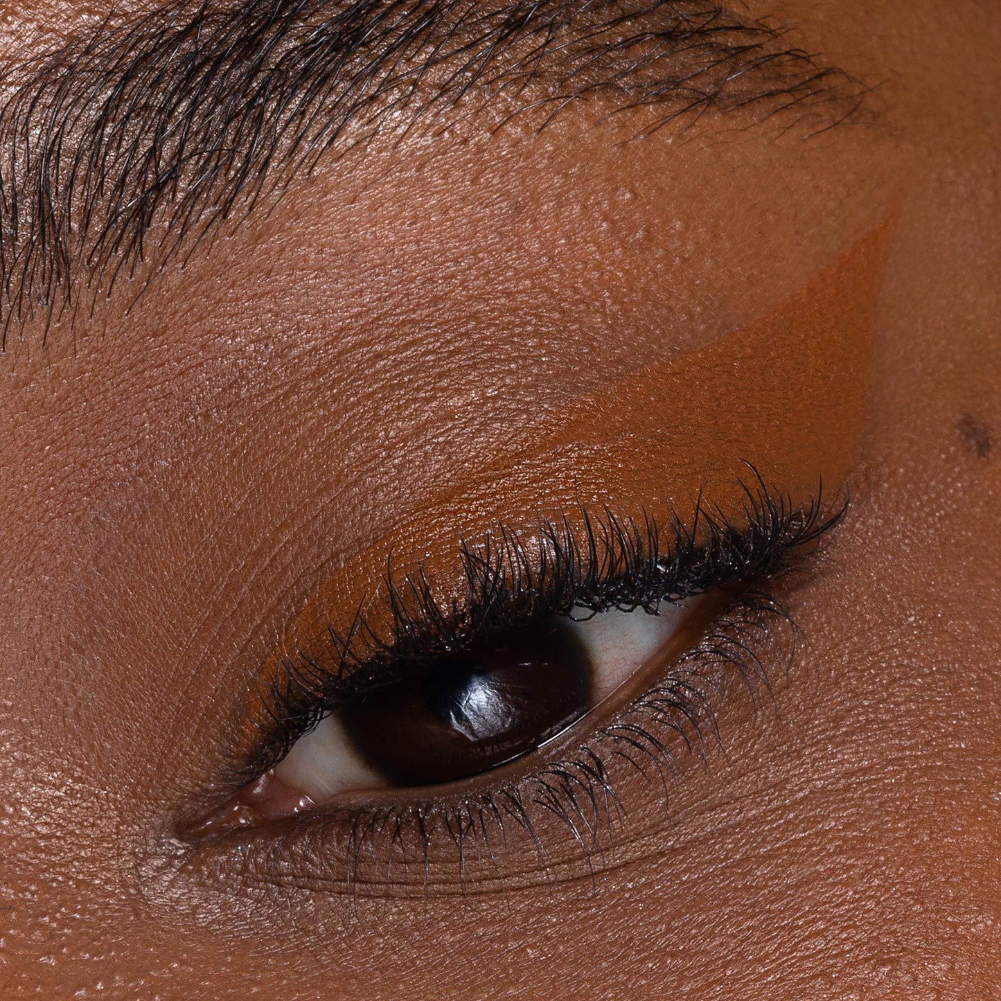 PASTELLO OCCHI QUOKKA