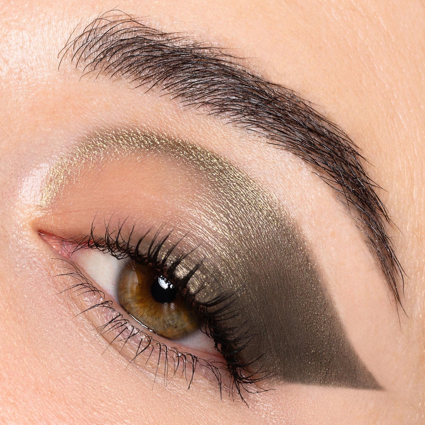 PASTELLO OCCHI TARTARUGA