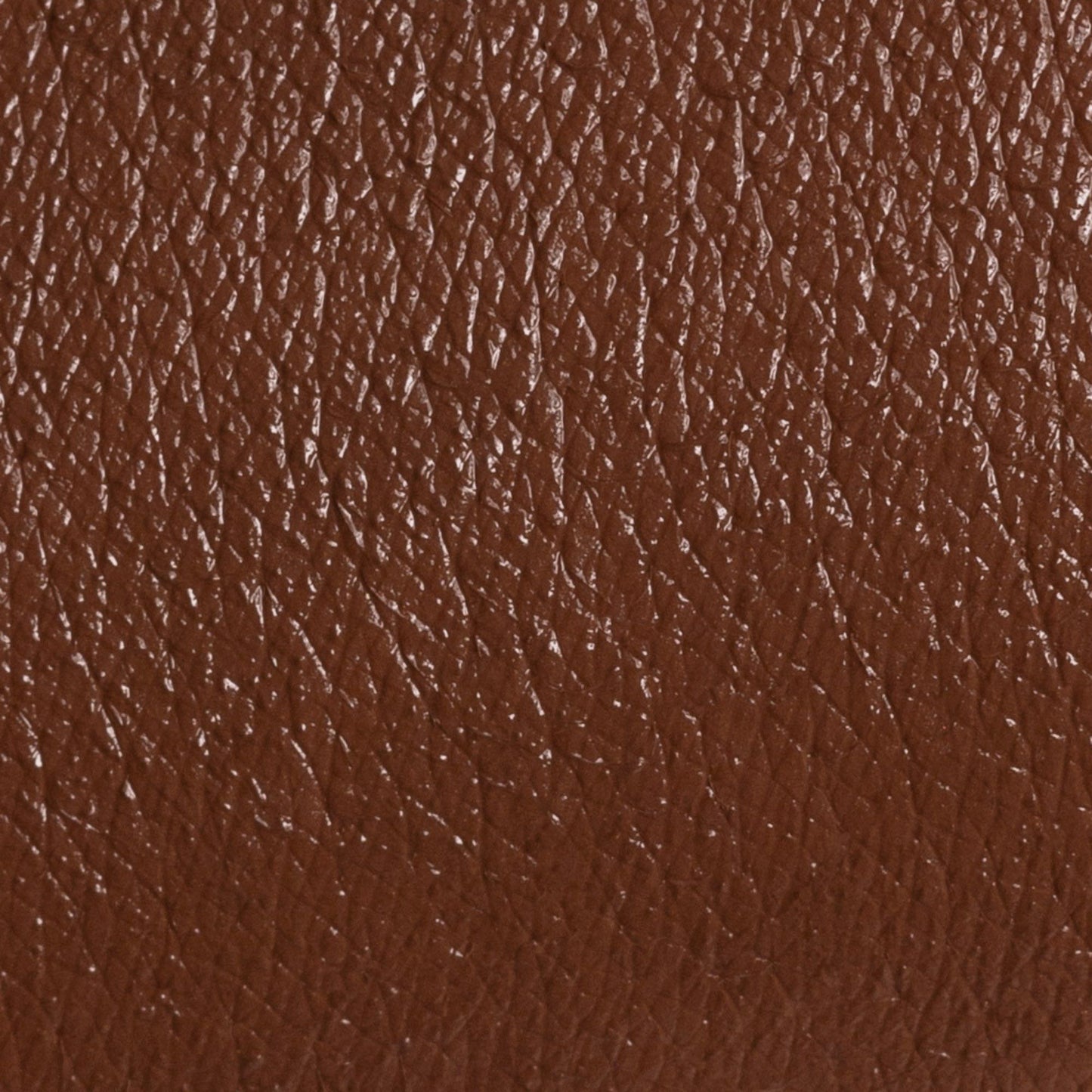 BRONZER STAR SYSTEM SCULPTRESS
