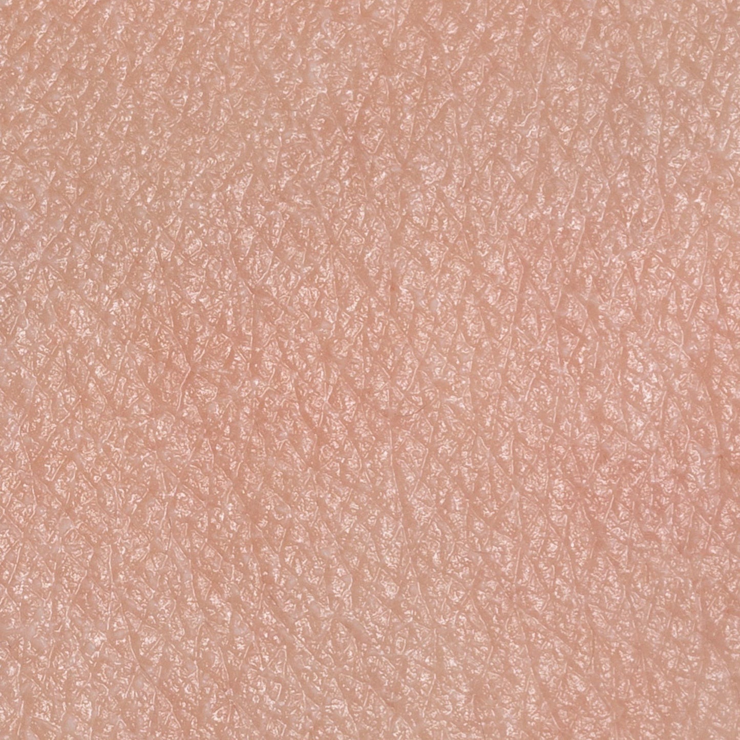 PRIMER STAR SYSTM MUSE