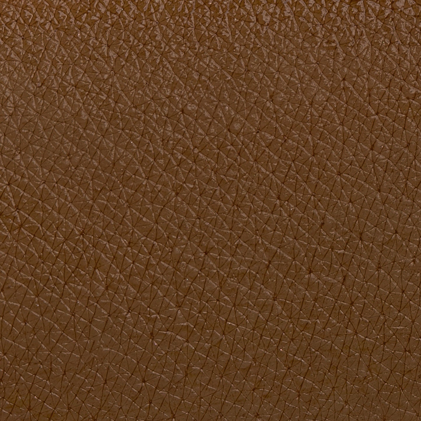 SOPRACCIGLIATORE CASTANO