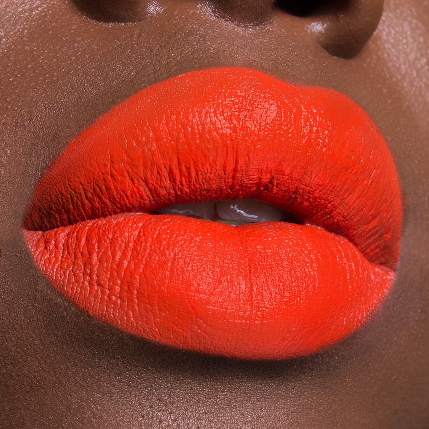 DESSERT   LEVRES PANETTONE