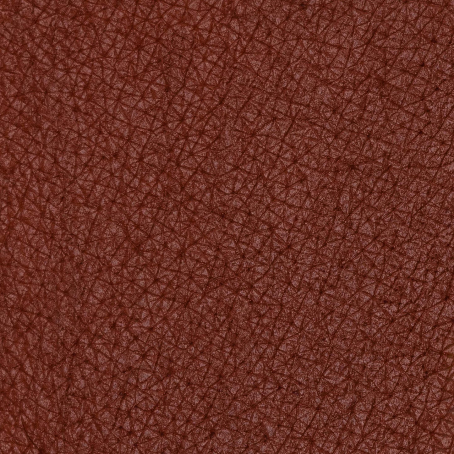 PASTELLO LABBRA CAMBRIDGE