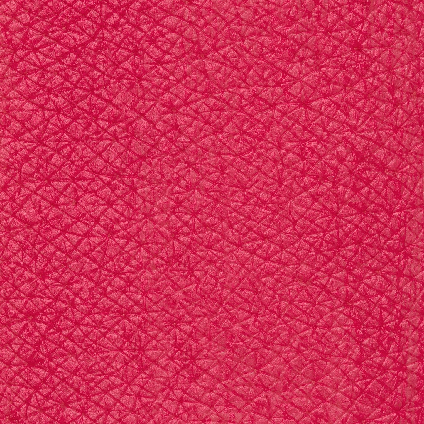 PASTELLO LABBRA FENICOTTERO